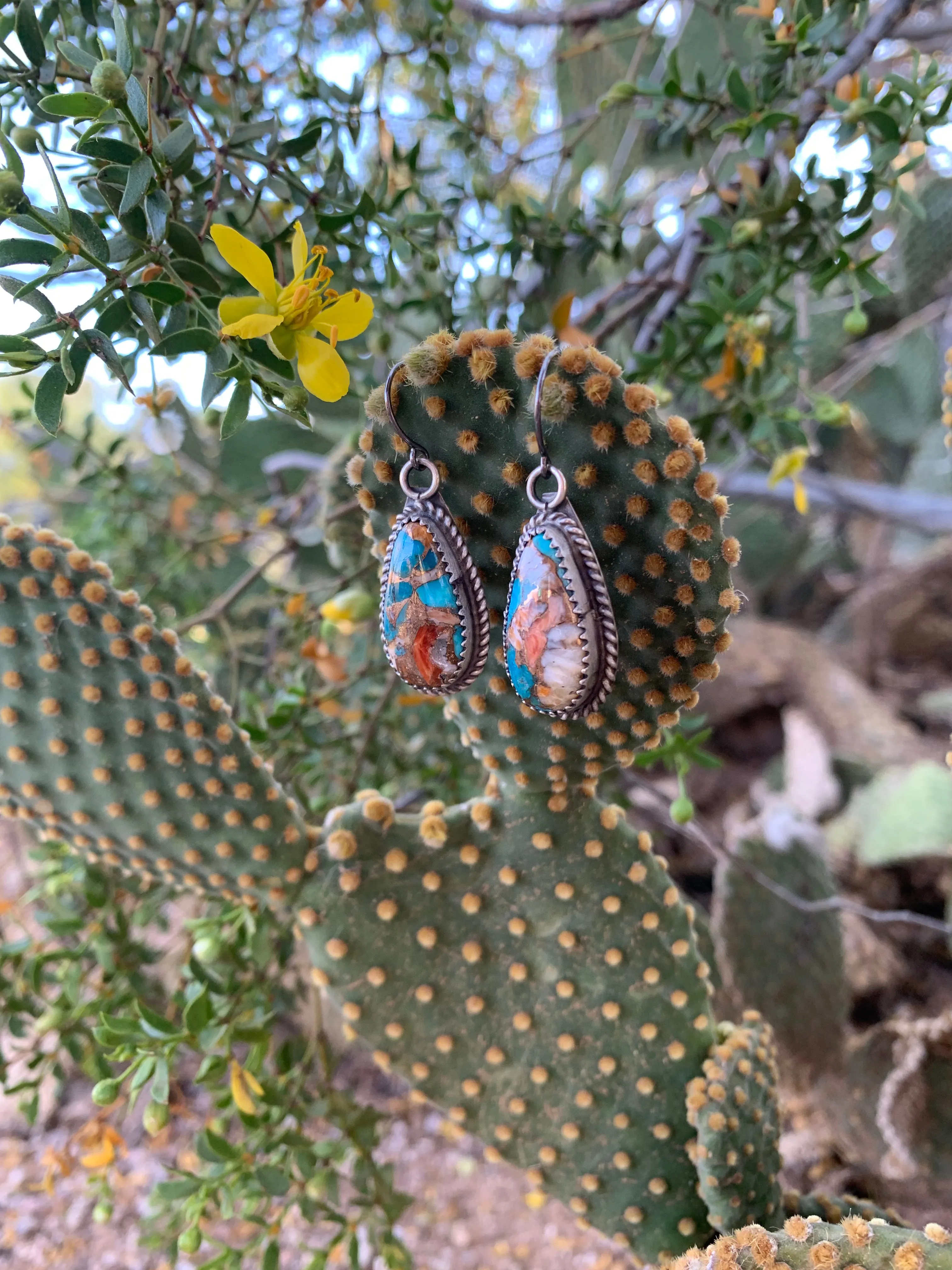 Spiny Oyster & Turquoise earrings