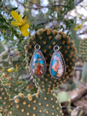 Spiny Oyster & Turquoise earrings