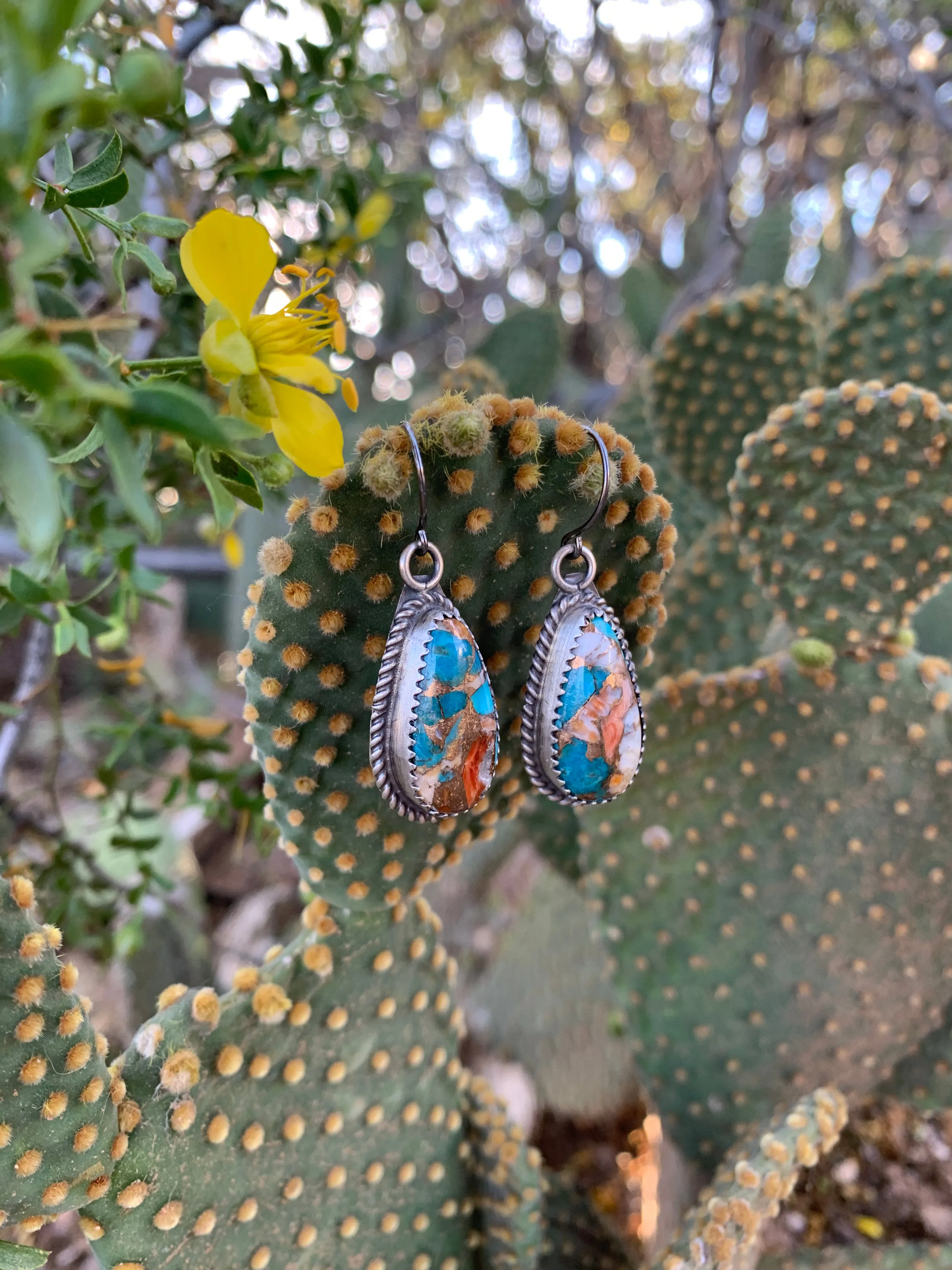 Spiny Oyster & Turquoise earrings